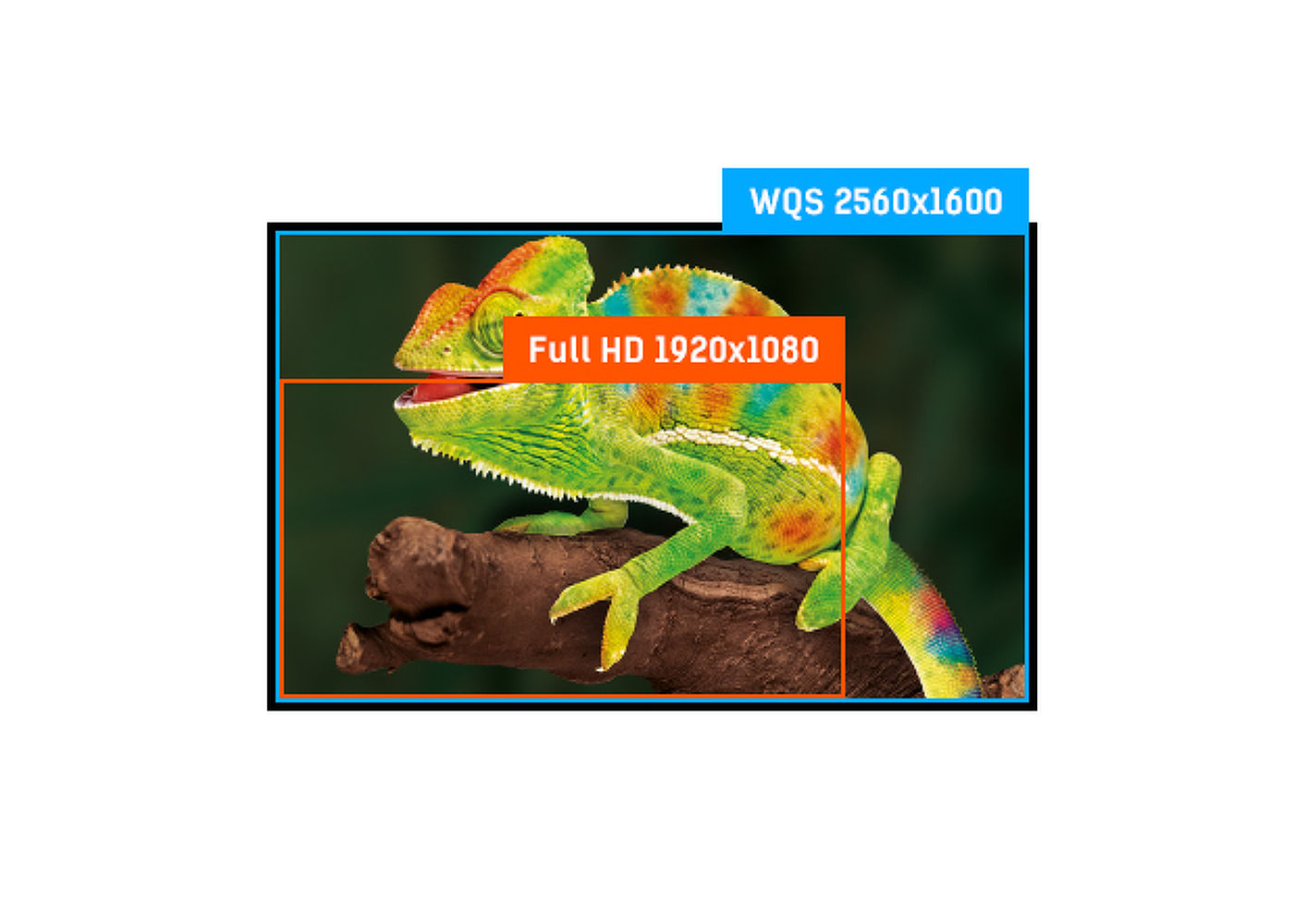 WQS