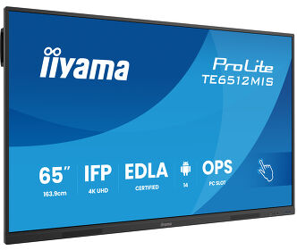 ProLite TE6512MIS-B4AG