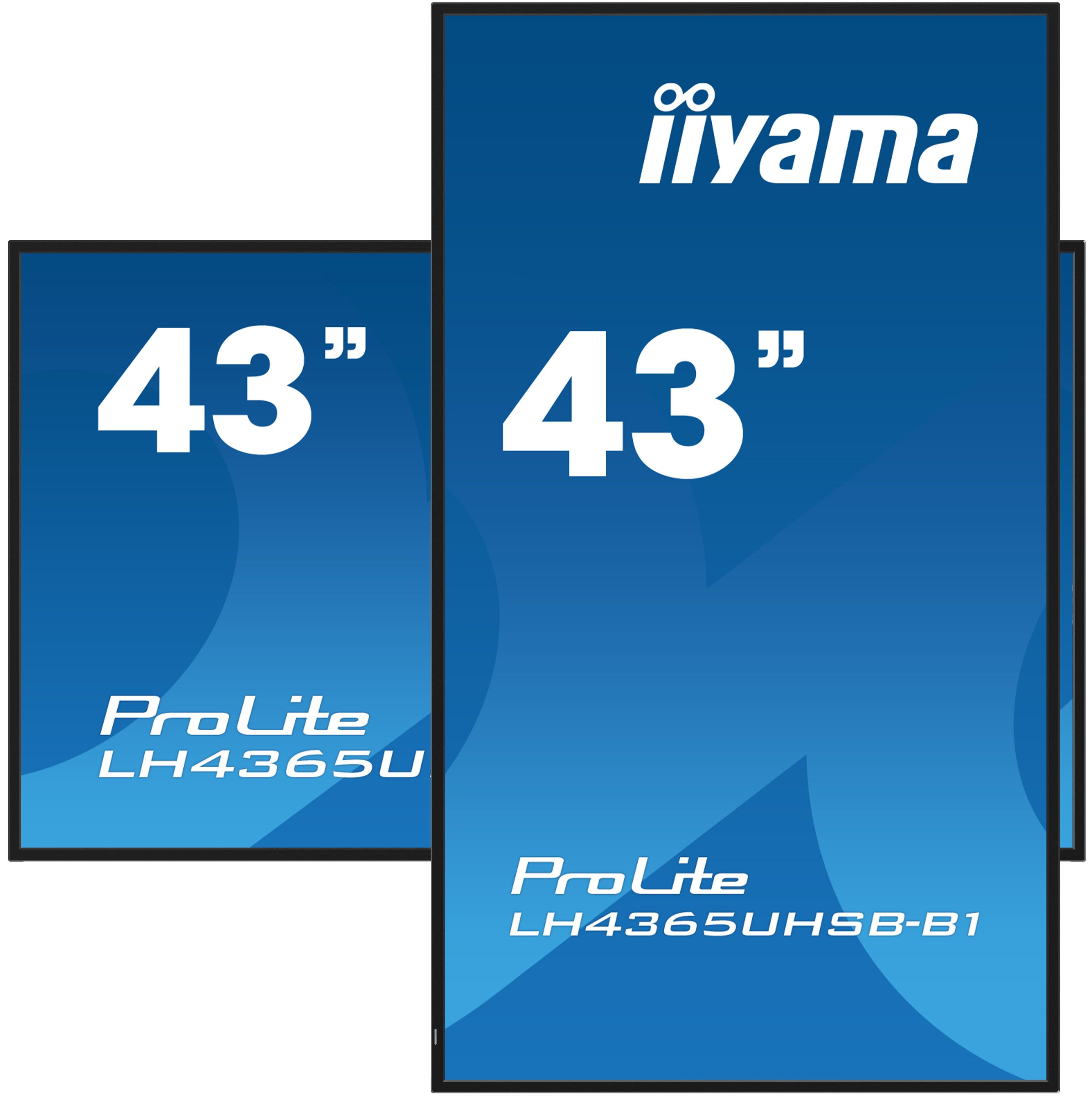ProLite LH4365UHSB-B1 - 43” Vivid-Bright Display with 4K resolution and 800cd/m² panels for illuminating communication